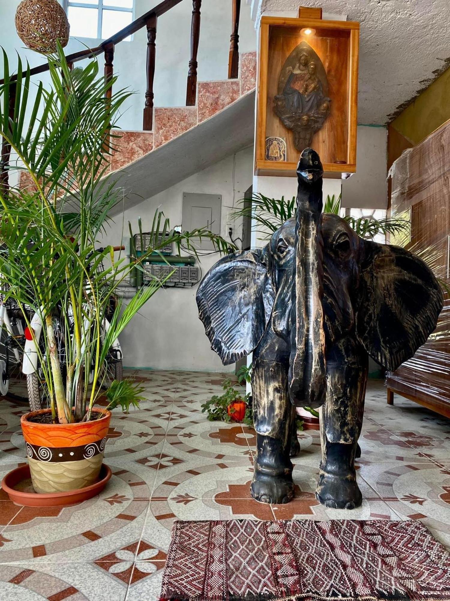 Casa Gajah Hotel Cuyo Exteriör bild